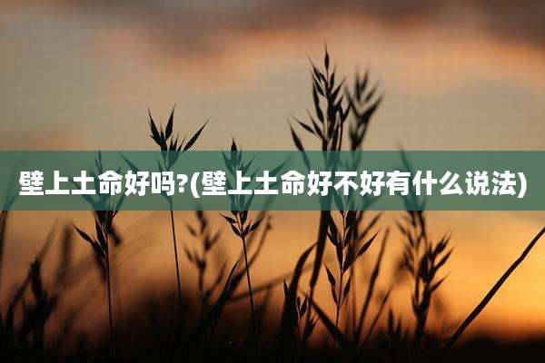 壁上土命好吗?(壁上土命好不好有什么说法)