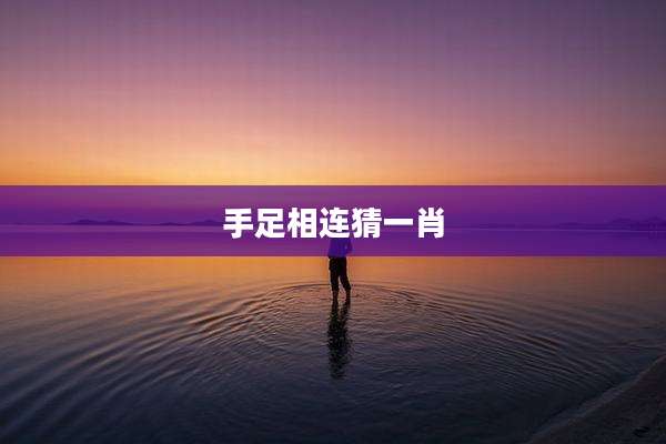 手足相连猜一肖