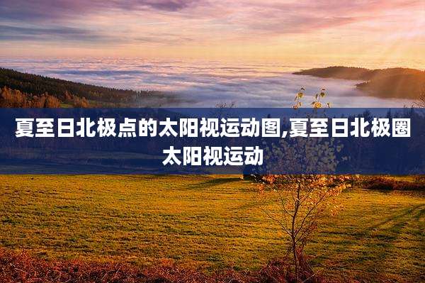 夏至日北极点的太阳视运动图,夏至日北极圈太阳视运动