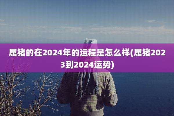 属猪的在2024年的运程是怎么样(属猪2023到2024运势)