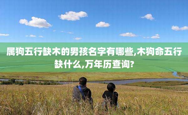 属狗五行缺木的男孩名字有哪些,木狗命五行缺什么,万年历查询?