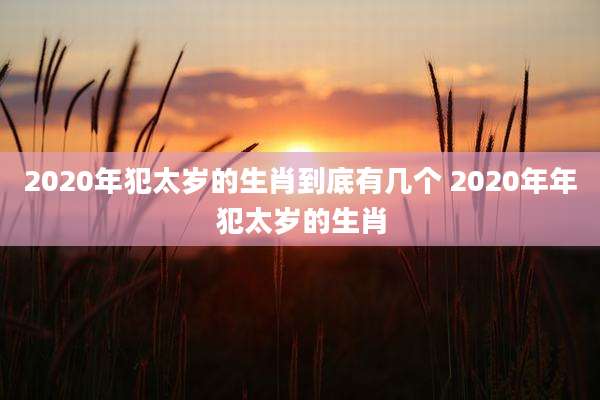 2020年犯太岁的生肖到底有几个 2020年年犯太岁的生肖