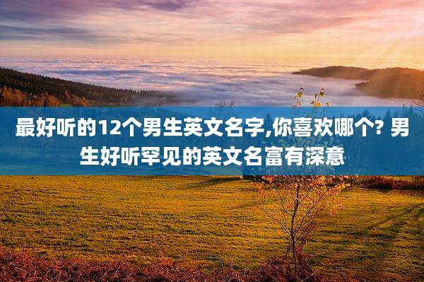 最好听的12个男生英文名字,你喜欢哪个? 男生好听罕见的英文名富有深意