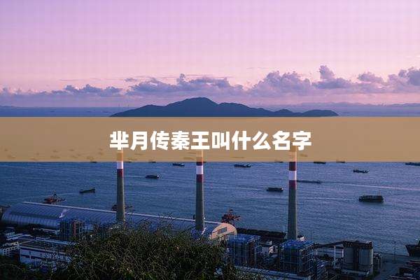 芈月传秦王叫什么名字
