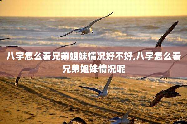 八字怎么看兄弟姐妹情况好不好,八字怎么看兄弟姐妹情况呢