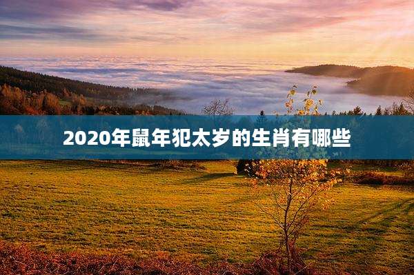2020年鼠年犯太岁的生肖有哪些