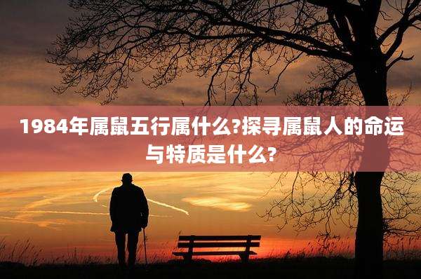 1984年属鼠五行属什么?探寻属鼠人的命运与特质是什么?