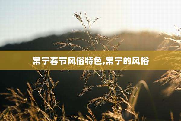 常宁春节风俗特色,常宁的风俗