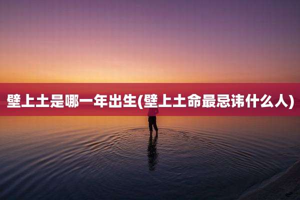 壁上土是哪一年出生(壁上土命最忌讳什么人)