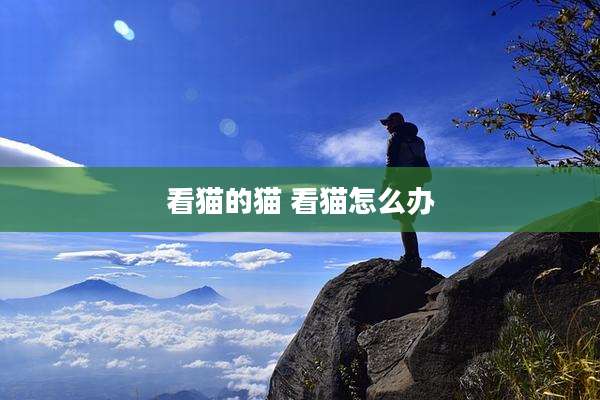 看猫的猫 看猫怎么办