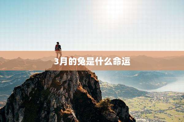 3月的兔是什么命运