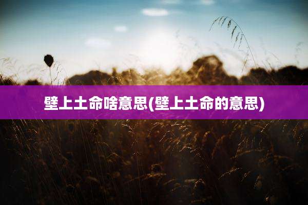 壁上土命啥意思(壁上土命的意思)