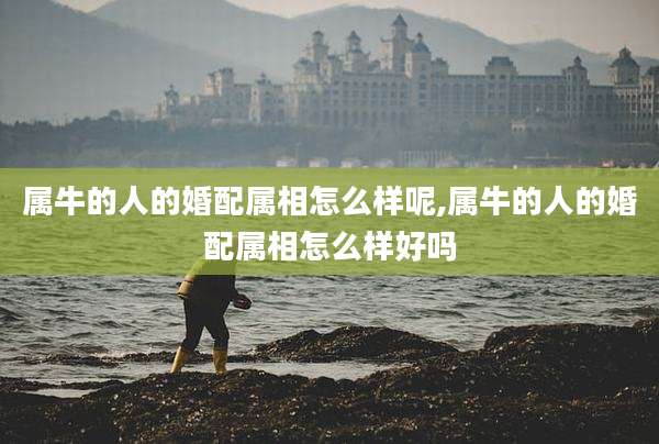 属牛的人的婚配属相怎么样呢,属牛的人的婚配属相怎么样好吗