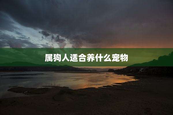 属狗人适合养什么宠物