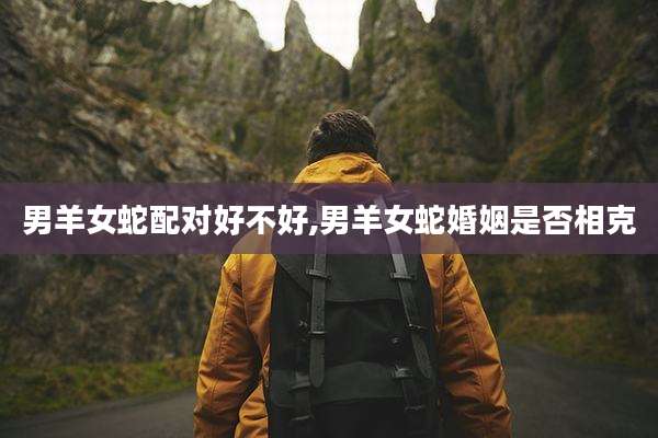 男羊女蛇配对好不好,男羊女蛇婚姻是否相克