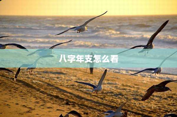 八字年支怎么看