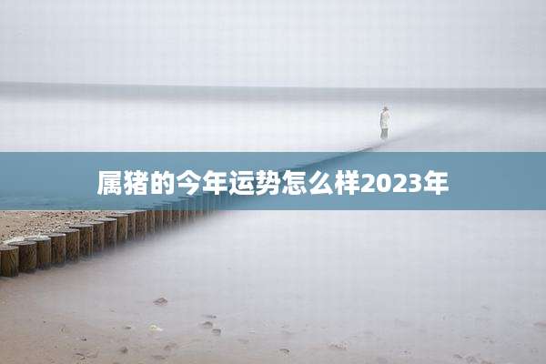 属猪的今年运势怎么样2023年