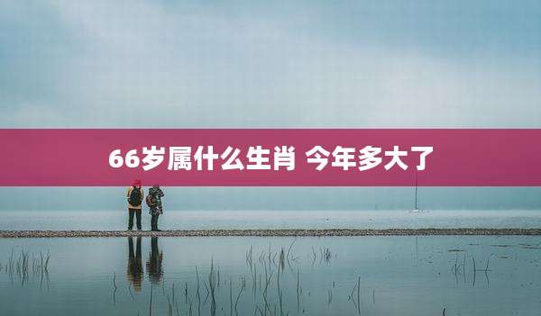 66岁属什么生肖 今年多大了