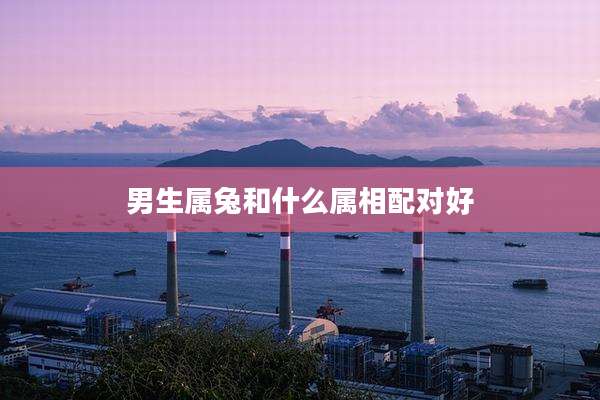 男生属兔和什么属相配对好