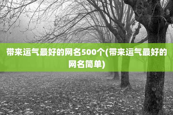 带来运气最好的网名500个(带来运气最好的网名简单)