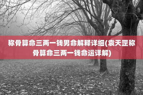 称骨算命三两一钱男命解释详细(袁天罡称骨算命三两一钱命运详解)