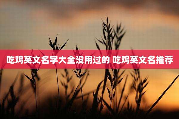 吃鸡英文名字大全没用过的 吃鸡英文名推荐