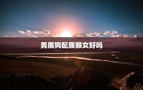 男属狗配属猴女好吗