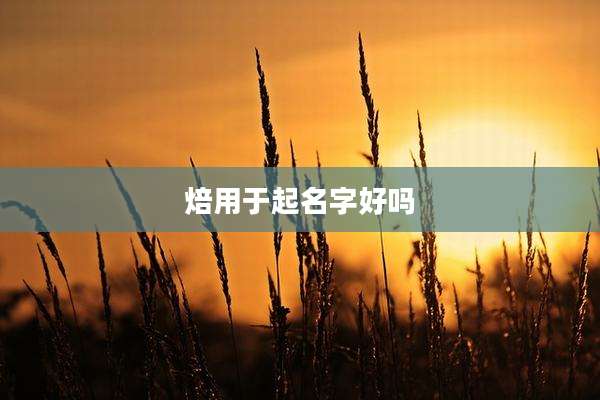 焙用于起名字好吗