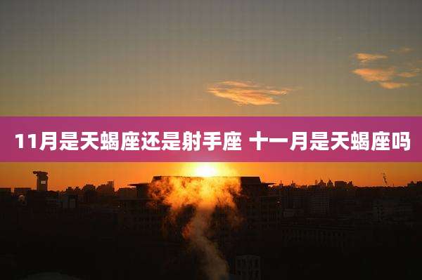11月是天蝎座还是射手座 十一月是天蝎座吗
