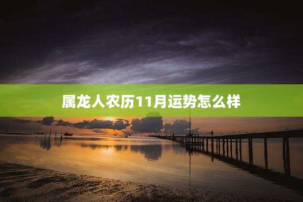 属龙人农历11月运势怎么样