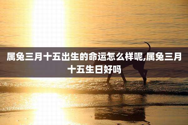 属兔三月十五出生的命运怎么样呢,属兔三月十五生日好吗