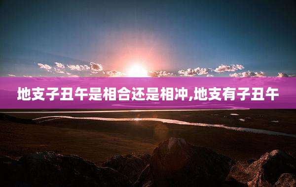 地支子丑午是相合还是相冲,地支有子丑午