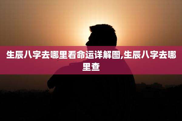 生辰八字去哪里看命运详解图,生辰八字去哪里查