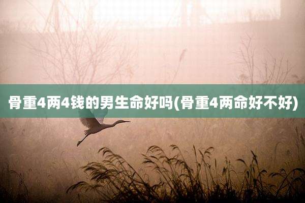骨重4两4钱的男生命好吗(骨重4两命好不好)