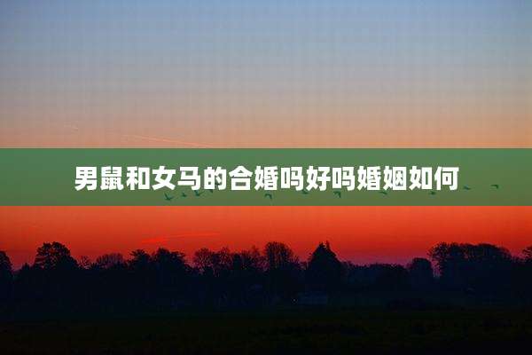 男鼠和女马的合婚吗好吗婚姻如何