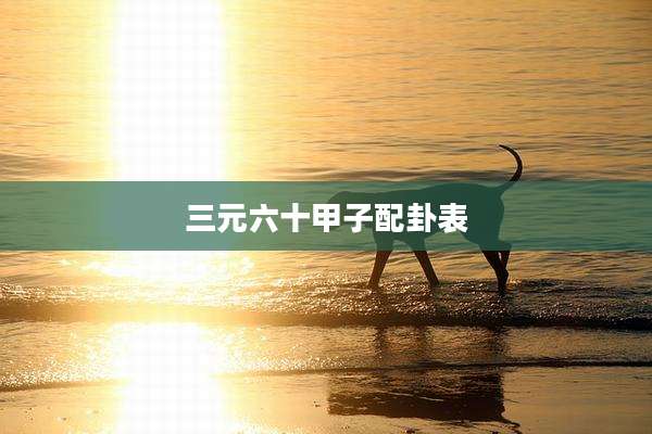 三元六十甲子配卦表