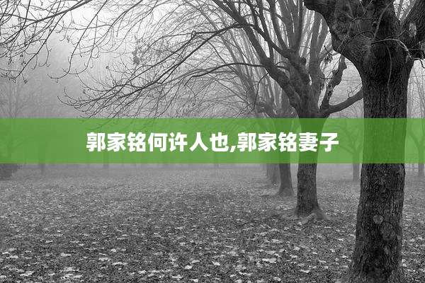 郭家铭何许人也,郭家铭妻子