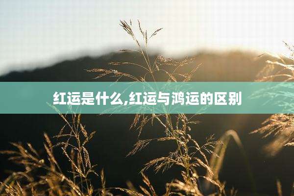 红运是什么,红运与鸿运的区别