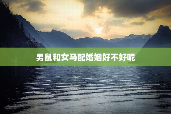 男鼠和女马配婚姻好不好呢