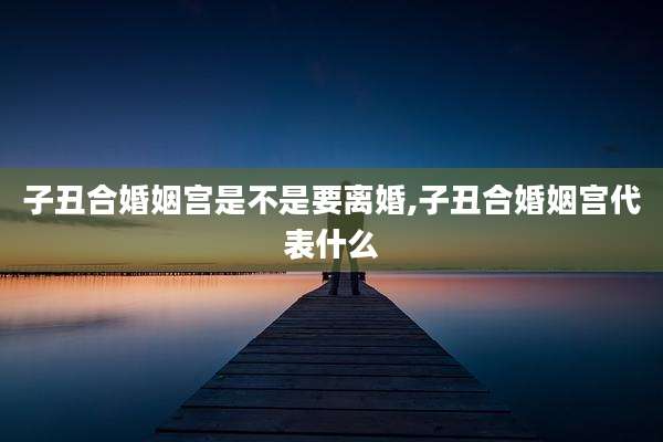 子丑合婚姻宫是不是要离婚,子丑合婚姻宫代表什么