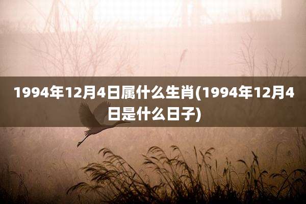 1994年12月4日属什么生肖(1994年12月4日是什么日子)