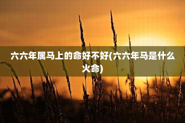六六年属马上的命好不好(六六年马是什么火命)