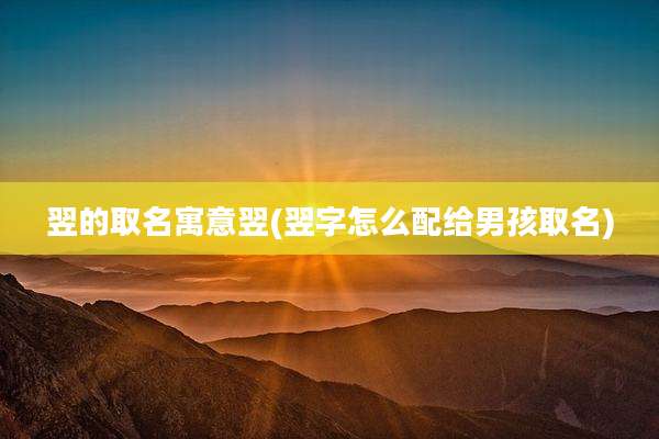 翌的取名寓意翌(翌字怎么配给男孩取名)