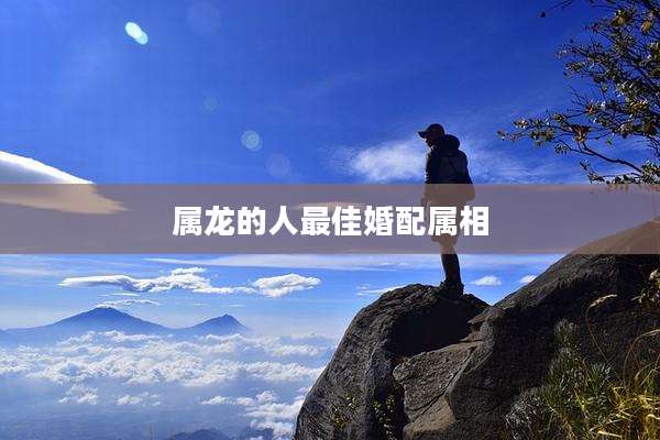 属龙的人最佳婚配属相