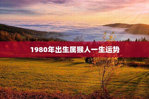 1980年出生属猴人一生运势