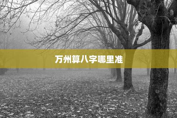 万州算八字哪里准