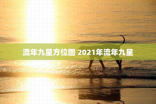流年九星方位图 2021年流年九星