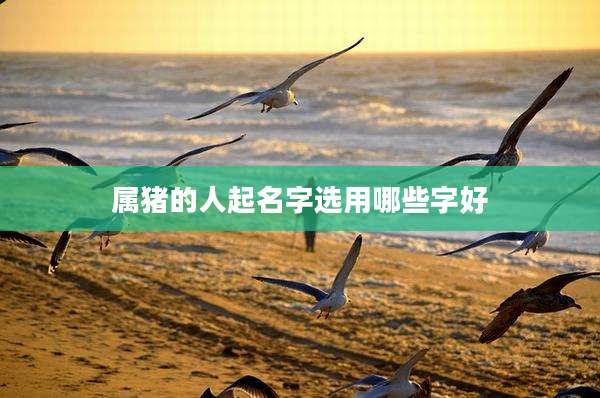 属猪的人起名字选用哪些字好