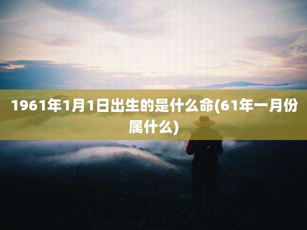 1961年1月1日出生的是什么命(61年一月份属什么)