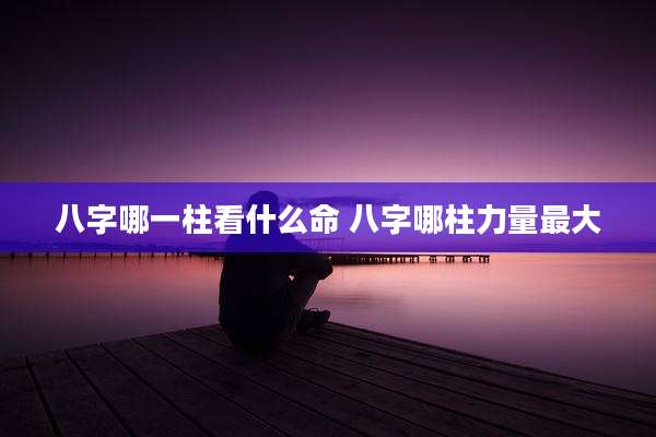 八字哪一柱看什么命 八字哪柱力量最大